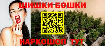гидра Славгород
