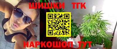гидра Славгород