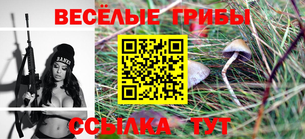 Псилоцибиновые грибы мицелий Рославль