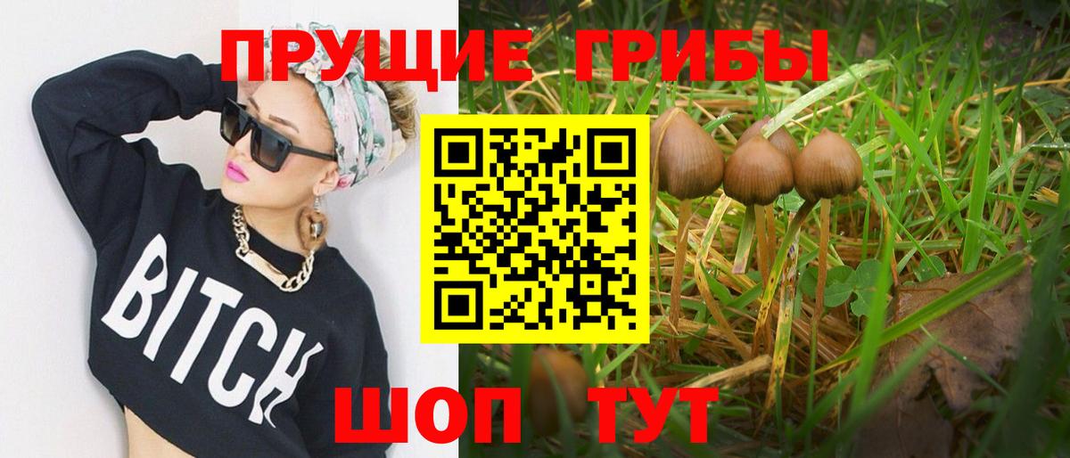 Галлюциногенные грибы прущие грибы  Вход с VPN  Рославль 